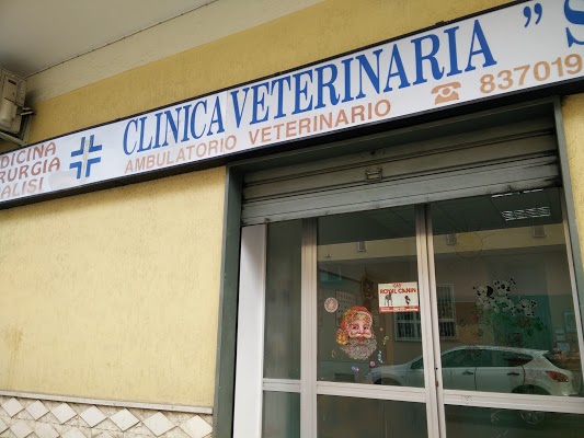 Foto di Studio Associato Sirio Clinica Veterinaria di San Nicola La Strada  Caserta  Campania  Italia