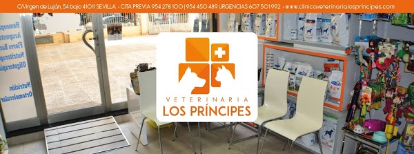 Foto di Veterinary Clinic vet Princes in Seville di Siviglia  S  ville  Vandalitia  Spagna