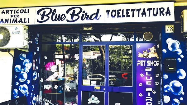 Foto di Blue Bird Toeletta e Pet Shop di Spinaceto  Roma Capitale  Lazio         Italia